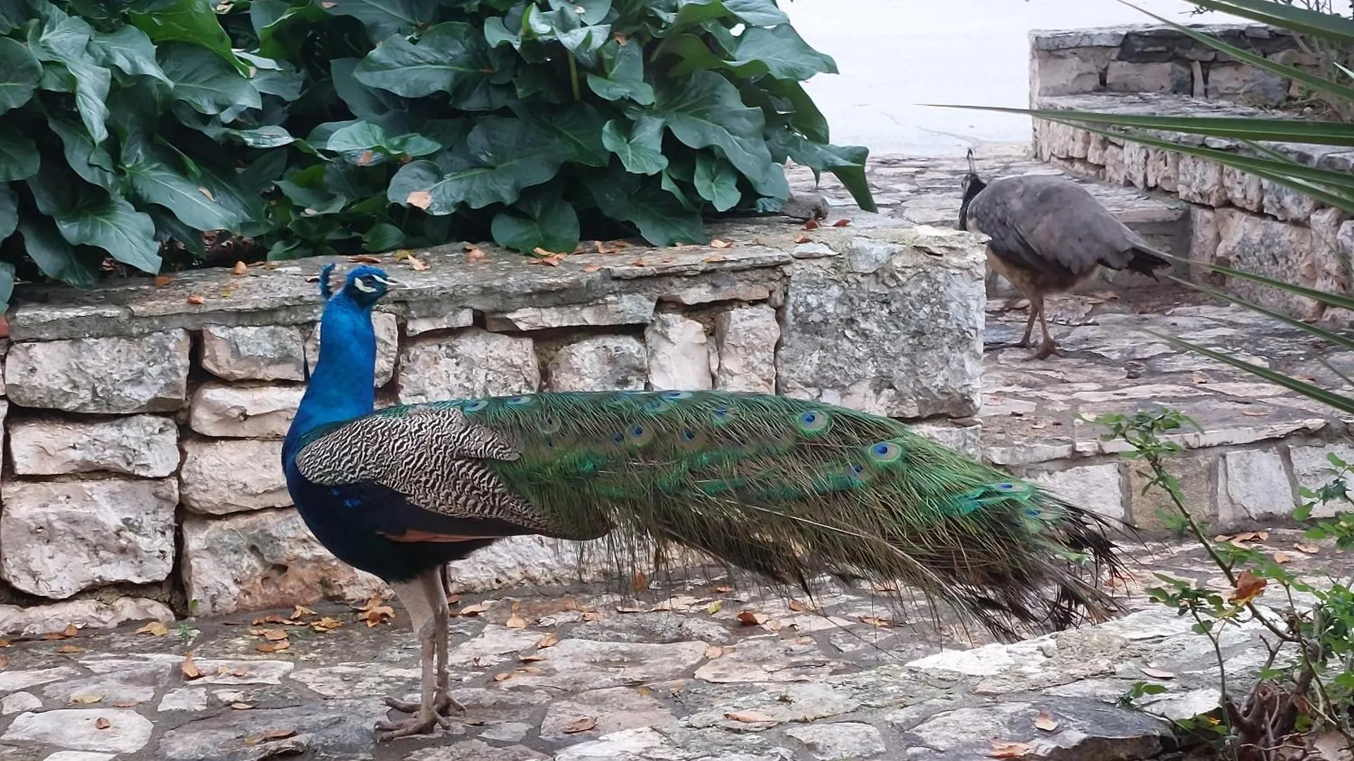 Dove Soggiornare nell'Altopiano delle Murge: 15 Hotel per Famiglie