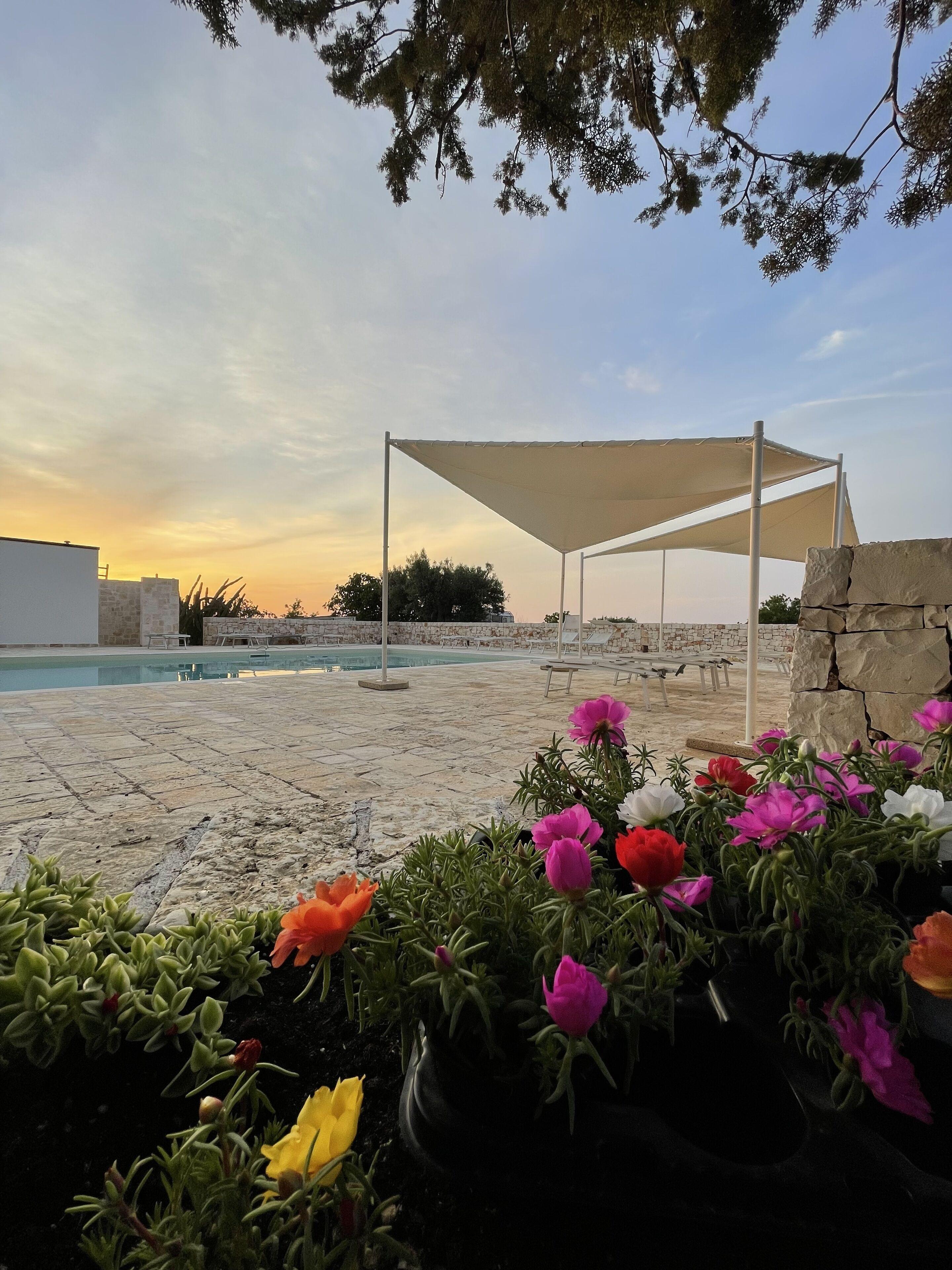 12 Agriturismi nell'Altopiano delle Murge per Vivere la Puglia Autentica